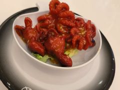 芝麻八爪鱼-元气寿司(金光华店)