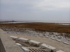 -南汇嘴观海公园