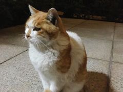 -北方工业大学学生餐厅