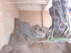 -宁波野生动物园