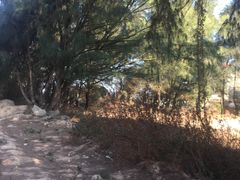 -六鳌翡翠湾滨海度假景区