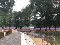 -紫海香堤香草艺术庄园