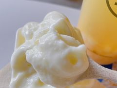 -野人牧坊Gelato(天津南开大悦城店)