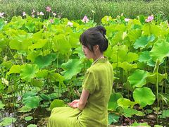 -莲湖公园