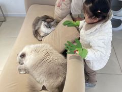 -怪兽屋·羊驼·猫咖·狗咖(俊华广场店)