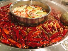 -小龙坎火锅(春熙太古里店)
