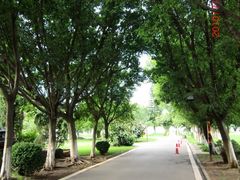 照片-西昌邛海宾馆