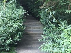 -青枫公园