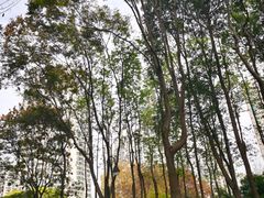 -苏州河梦清园环保主题公园