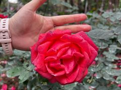 -人民公园(罗湖区)