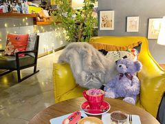 -咖法森林·咖啡  酒吧(天河店)