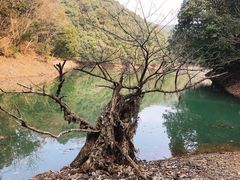 -小格里自然风景区