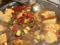 -探鱼·鲜青椒爽麻烤鱼(广州花都来又来店)