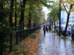 -北海道厅旧本厅舍(旧本庁舎)