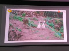 -JMGO坚果投影(长宁龙之梦店)