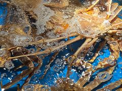 -徐记海鲜(南油永新汇店)