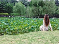 -沐仙湖湿地公园