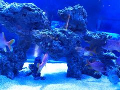 -上和臻品中国菜(花园街店)