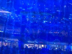 -成都浩海立方海洋公园