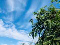 -云水谣景区-土楼之光文化园