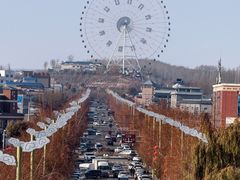 -特克斯八卦城