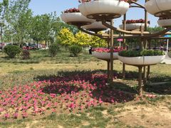 -武清南湖绿博园