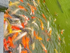 -水濂山森林公园