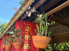 -西双版纳傣族园