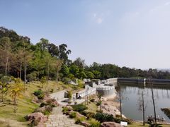 -广州莲花山旅游区