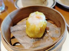 -广州富力君悦大酒店空中花园