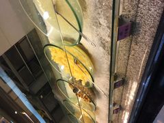 -福成自助烤肉(青春路店)