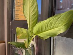 -METAL HANDS(五道营店)