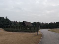 -上海滨江森林公园