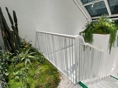 -大树餐厅(红旗街万达店)