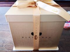 -BLACKSWAN黑天鹅(环球店)