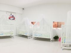 -BABYDOG宝贝狗宠物乐园(欧洲城店)