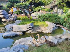 -扬州瘦西湖温泉