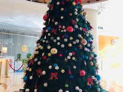 -天津水游城丽筠酒店