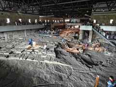 -自贡恐龙博物馆