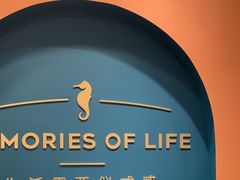 -海马体照相馆(重庆爱琴海购物公园店)