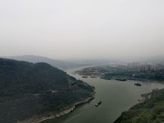 -铁山坪森林公园