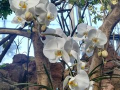 -南通洲际绿博园