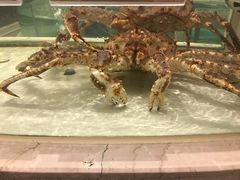 -白金汉爵大酒店(相城店)