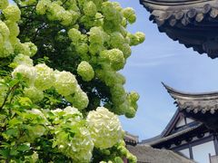 -常熟方塔园