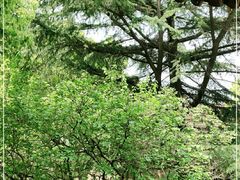 -上海兴国宾馆香樟园西餐厅