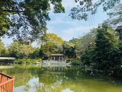 -荔湾湖公园