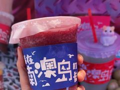 -南澳岛打卡果汁冰公司