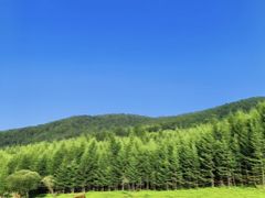 -芦芽山旅游度假区