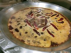 -大龙燚火锅(春熙店)