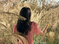 -福田美术馆——新童话主义－周艺文艺术季